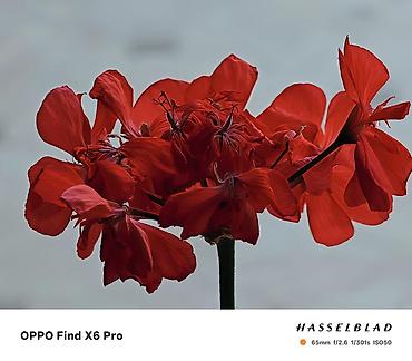 Oppo: Oppo Find X6 Pro, Б/у, 512 ГБ, цвет - Зеленый, 2 SIM — 13