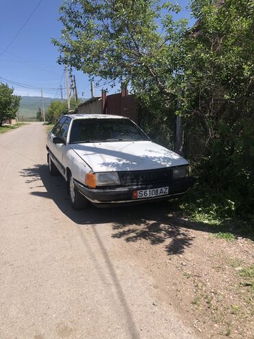 Audi: Audi 100: 1989 г., 2.3 л, Механика, Бензин, Седан