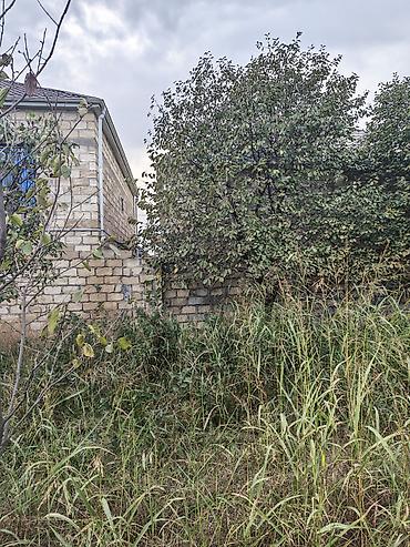 7 ci mikrorayon yeni tikili: 12 sot, Kənd təsərrüfatı, Barter mümkündür, Kupça (Çıxarış) — 7