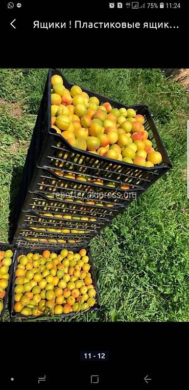 Ящики: Ящик — 7