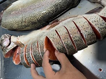 рыбный: Форель, нарезанный стейками. Свежая рыба форель не замароженна — 7