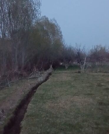 отдых на горах: 31 соток, Бизнес үчүн, Кызыл китеп, Техпаспорт, Сатып алуу-сатуу келишими