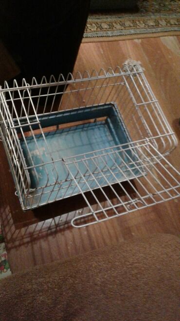 Heyvanlar üçün digər mallar: Shekilleri cevirin It ve pishikler ucun dirnaq tutan qayci tezedi — 15