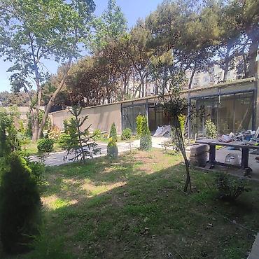 bakıda kabinetli restoranlar: Xırdalan şəhəri, AAAF Park yaşayış kompleksi, sıx gediş-gəlişli əsas — 6