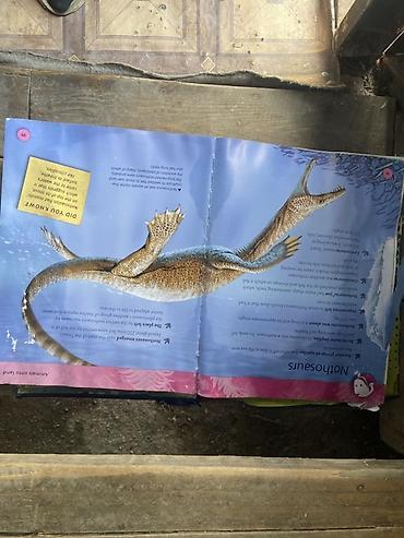 canta satışı: Məhsul: “Encyclopedia of Dinosaurs & Prehistoric Life” – — 4