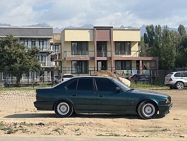 mx 5: BMW 5 series: 1994 г., Механика, Седан — 3
