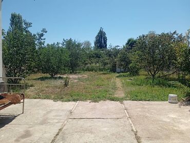 кара балта дом участок: Дача, 85 м², 5 комнат, Собственник, Старый ремонт