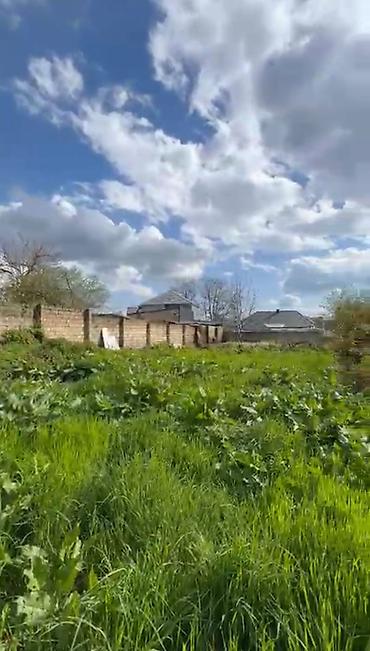 baksol yolu dernegul: 10 sot, Mülkiyyətçi, Kupça (Çıxarış) — 2