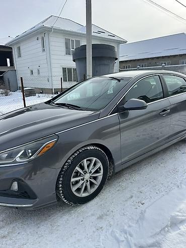 Hyundai: Hyundai Sonata: 2017 г., 2.4 л, Автомат, Бензин, Седан — 1