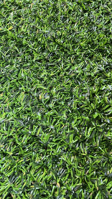 Bağ və bostan üçün digər məhsullar: 19 man baslayan qiymetler — 6