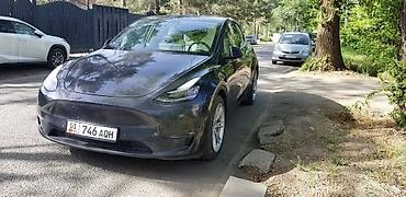 Tesla: Tesla Model 3: 2021 г., Автомат, Электромобиль, Седан — 5