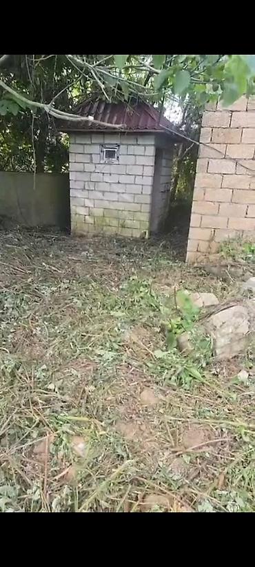 əmlak az xırdalan: 30 sot, Tikinti, Mülkiyyətçi, Kupça (Çıxarış) — 7