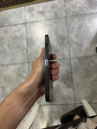 Apple iPhone: IPhone 13 Pro Max, 256 GB — 15