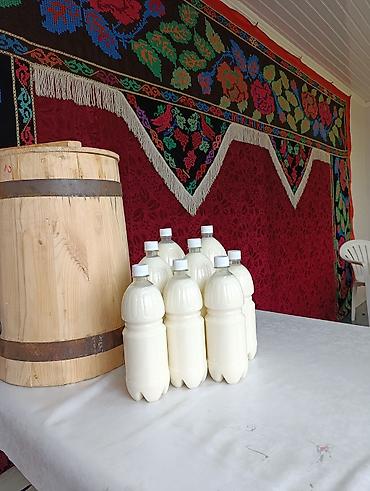 молоко бишкек: Нарындын таза, нукура бал кымызы. Шаар ичи 5л өйдө жеткизүү бекер — 2