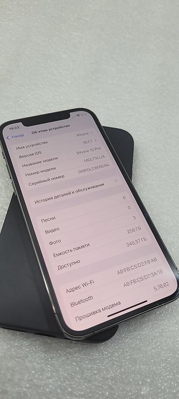 Apple iPhone: IPhone 12 Pro, Б/у, 256 ГБ, Черный, Чехол, 75 % — 7