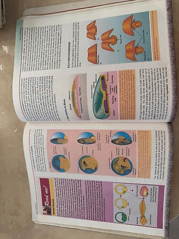 Книги и журналы: Məhsul: Sürat Scientific Books – Biology Series, “Biology 2” dərsliyi — 2