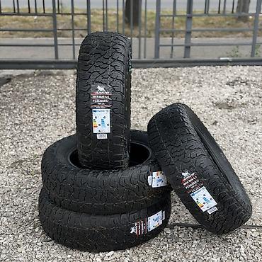 wheel: Шины 235 / 65 / R 17, Лето, Новый, Комплект, Внедорожные (АТ/МТ), Китай, Arivo — 2