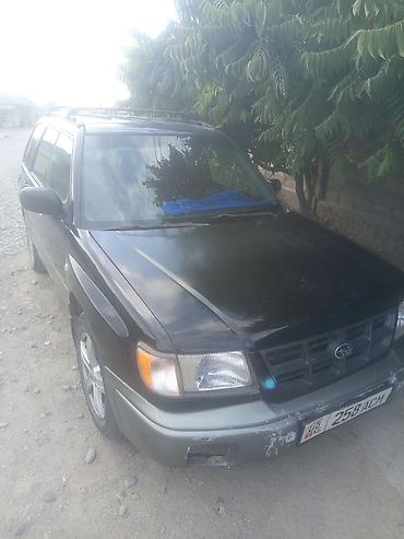 forester 2004: Subaru Forester: 1998 г., 2 л, Автомат, Бензин, Универсал — 5