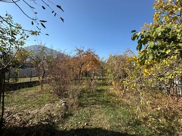 Продажа домов: Дача, 40 м², 2 комнаты, Агентство недвижимости — 4