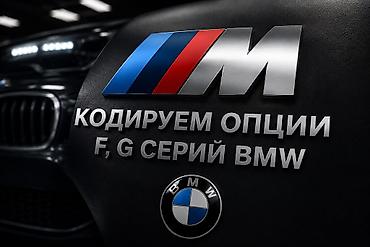 step rf3: Кодирование опций для BMW серий F и G, а также Автоподбор только Бмв — 1