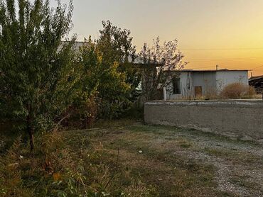 продаю дом в селе садовое: 4 соток, Красная книга