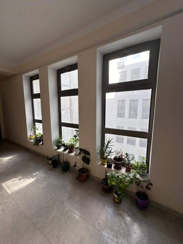 Uzunmüddətli kirayə mənzillər: Hövsan qəsəbəsi, Mida 1 layihəsi, 7 mərtəbəli yeni tikili binanın 5-ci — 16