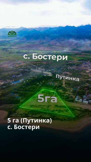 дом на день рождения: 500 соток, Бизнес үчүн