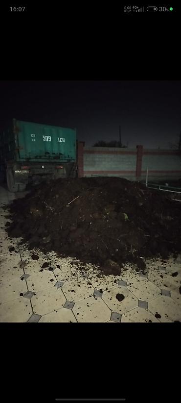 Перегной, навоз: Камаз — 7