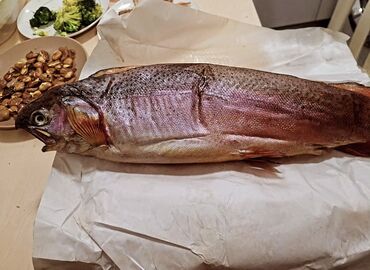 блюдо для плова: Оптом рыба по низкой цене Форель, чебак сига сельдь Телефон +