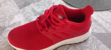 Patike: Patike, Adidas, veličina - 41.5 — 15