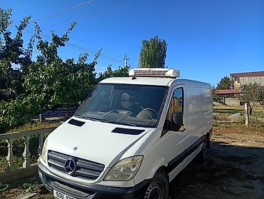 Mercedes-Benz Спринтер: 2009 г., 2.2 л, Механика, Дизель, Бус