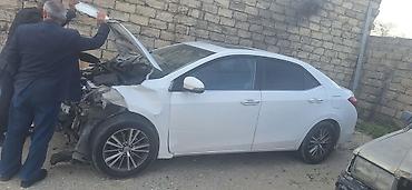 nev holand: Toyota Corolla: 1.6 l | 2004 il Sedan — 6
