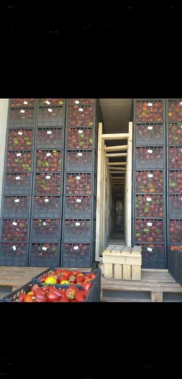 Ящики: Ящик, Новый — 21