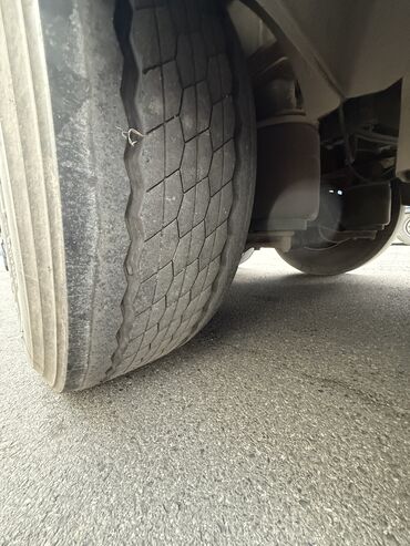 Тягачи: Тягач, DAF, 2019 г., Тентованный — 13