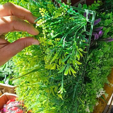 Baštenska dekoracija: Vestacko zelenilo, paneli i dodaci za ukrasavanje prostora, kuce — 7