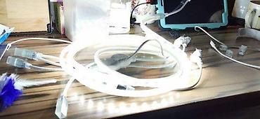 dihondra cvece: Led traka vodootporna 220v smd5730 120ld/m 18w/m eq100w/m. Trake — 4