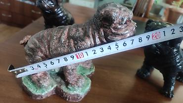 fransız bulldog: Fiqur, Gips — 2