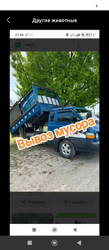 сколько стоит домик для кошки: Вывоз мусора Вывоз мусора Вывоз Вывоз мусора Вывоз мусора Вывоз