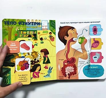 мозг: Книга с окошками «Тело человека» (издательство Clever) - Формат — 9