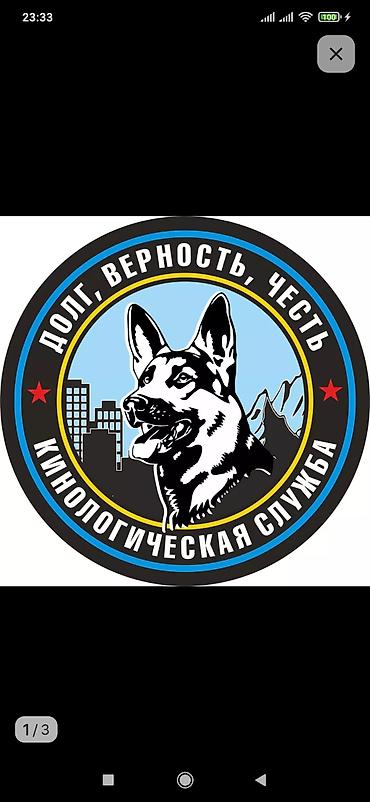 выгул: Профессиональный кинолог оказывает услуги по дрессировки. Стаж работы — 1