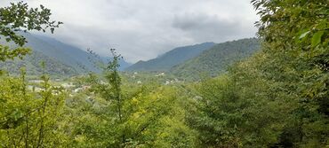 sumqayit xezer baglarinda torpaq satilir: 3 sot, Biznes üçün, Makler, Kupça (Çıxarış)