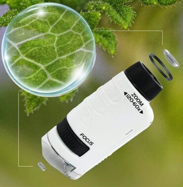 ящик для документов: Микроскоп детский, разрешением до 120х. Позволяет смотреть мелкие