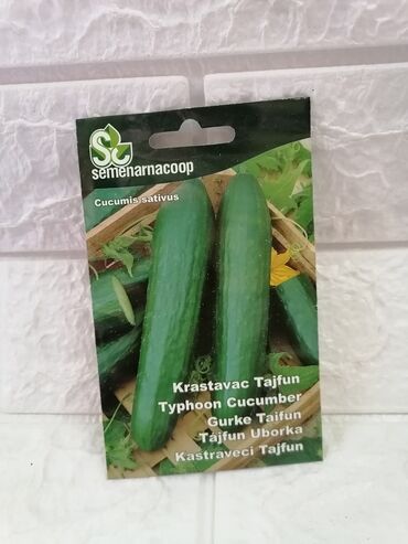 Semena i sadnice: Cena 500din/kesica — 18