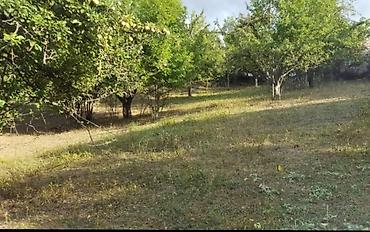 ismayılı: 6 sot, Tikinti, Mülkiyyətçi, Kupça (Çıxarış) — 3