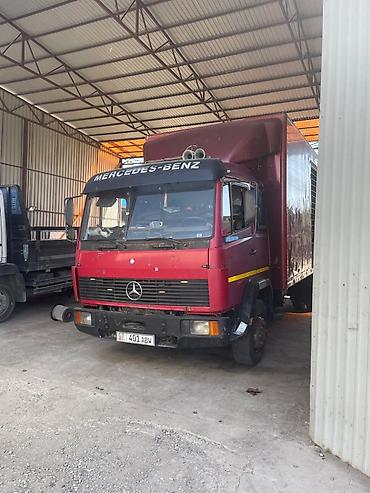 Mercedes-Benz: Mercedes-Benz : 1991 г., 6 л, Механика, Дизель — 15