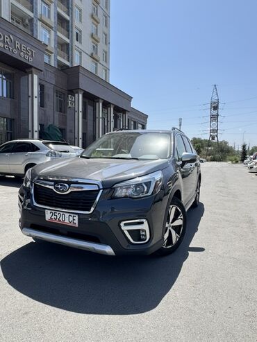 ниже рынка: Subaru Forester: 2023 г., 2.5 л, Автоматические, Бензин, Кроссовер
