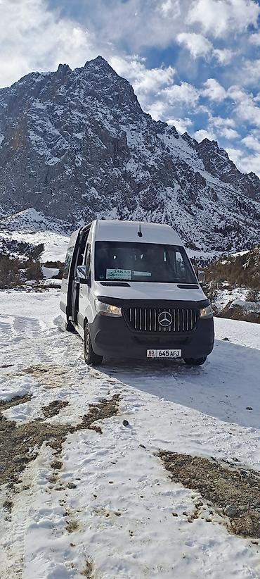 Пассажирский бус на заказ: Бус на заказ — 12