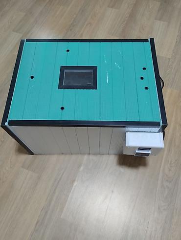 100 yumurta, Azərbaycan, Bütün növ quşlar üçün