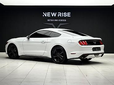 byd e6: Ford Mustang: 2016 г., 2.3 л, Автомат, Бензин, Купе — 3