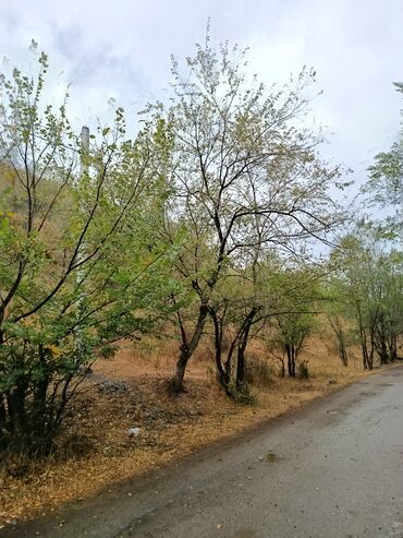 Продажа участков: 72 соток, Для сельского хозяйства, Договор купли-продажи — 14